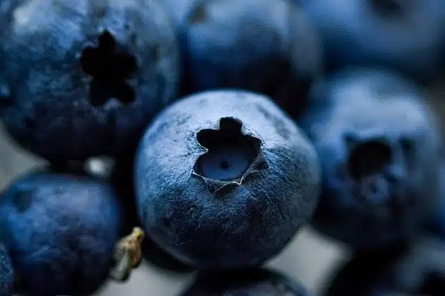 Is a cup of blueberries a day good for you 4