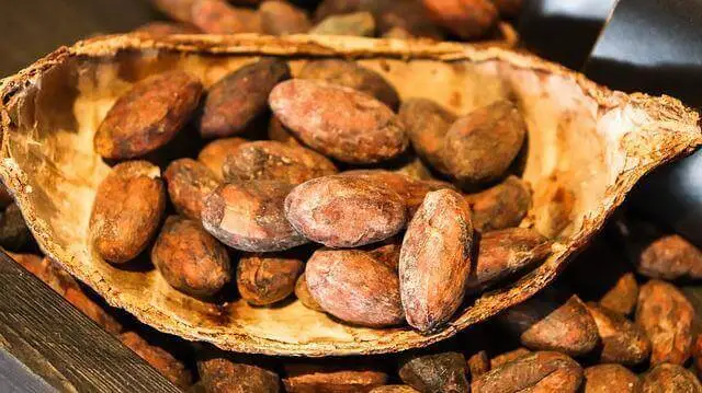 Dried cocoa beans