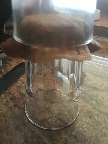 moulding a waffle bowl between two glasses