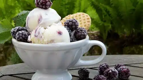 blackberry ice cream in a bowl with a waffle