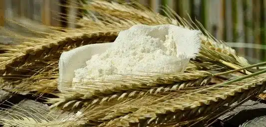 Wheat ears and white flour