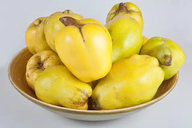 Quince in a bowl