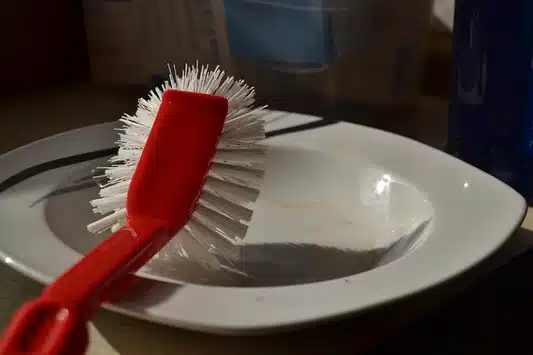 Dish brush in a plate
