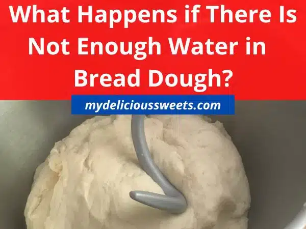 Bread dough in a mixer bowl with the dough hook