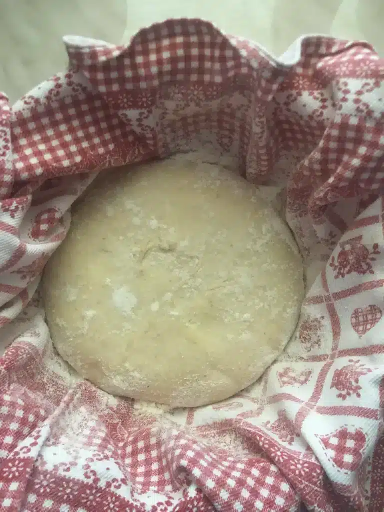 sourdough bread ball in a proofing bowl lined with a tea towel sprinkled with flour